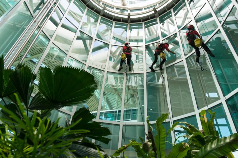 Maintenance and Repair: Keeping Your Windows Efficient Over Time